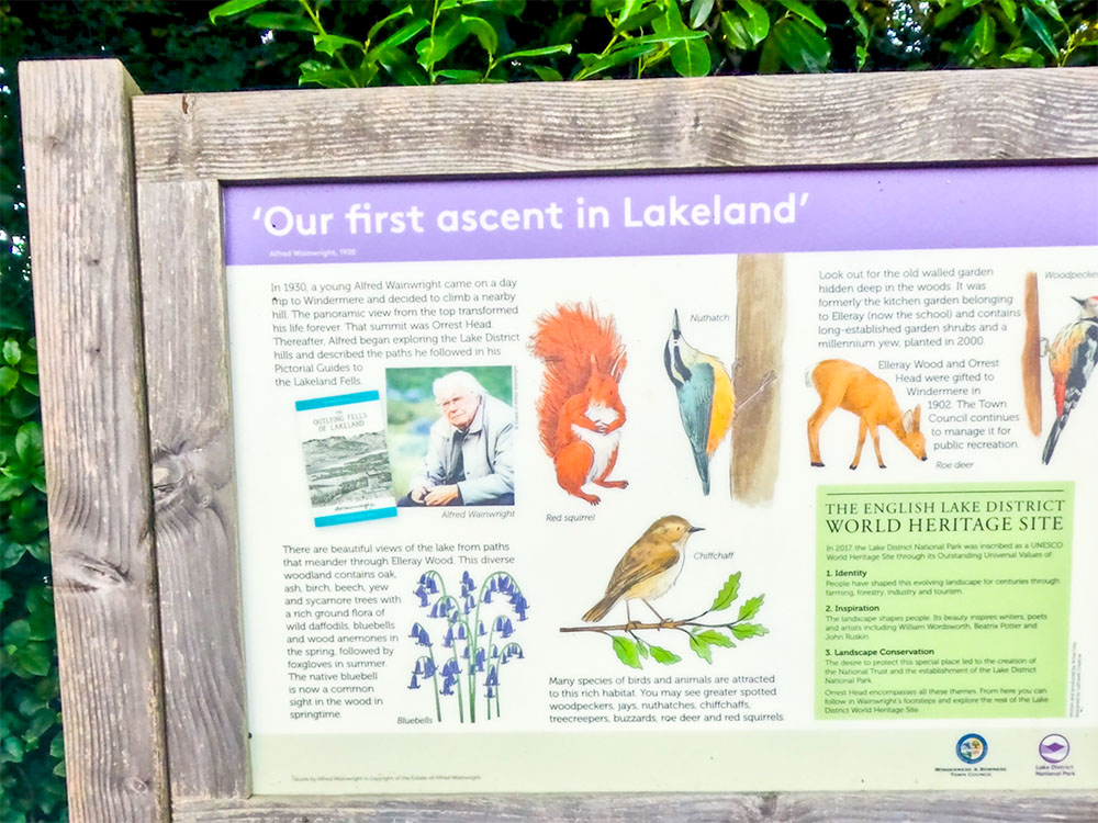 A sign which includes a section on Alfred Wainwright at the start of the footpath to Orrest Head