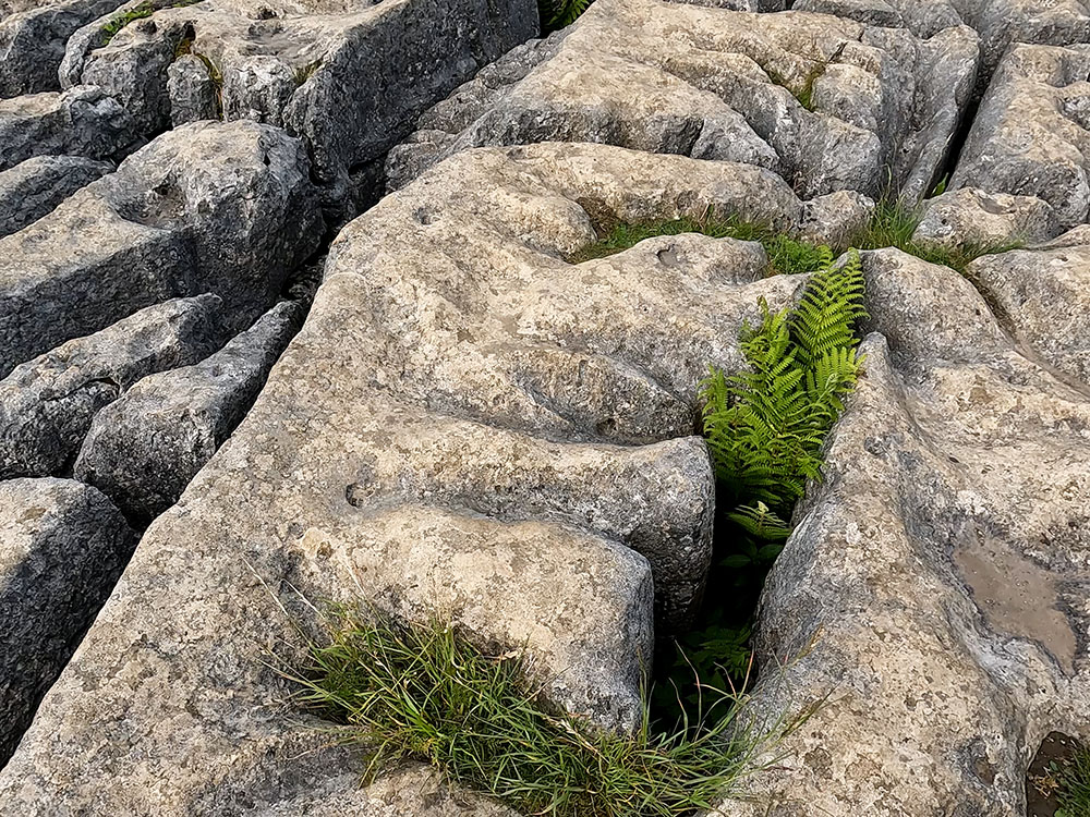 Clints and Grikes above Malham