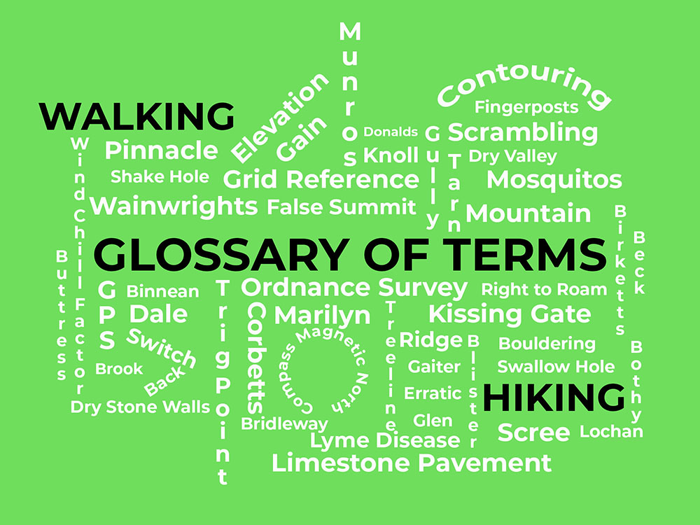 Glossary