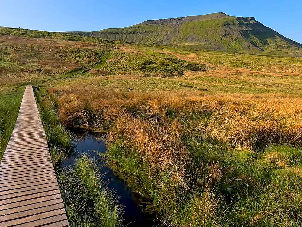 Heading across the wooden boards as the path climbs Ingleborough
