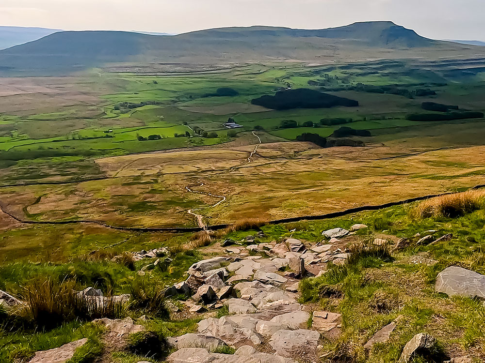 Ingleborough's distinctive flat-topped summit from the descent off Whernside