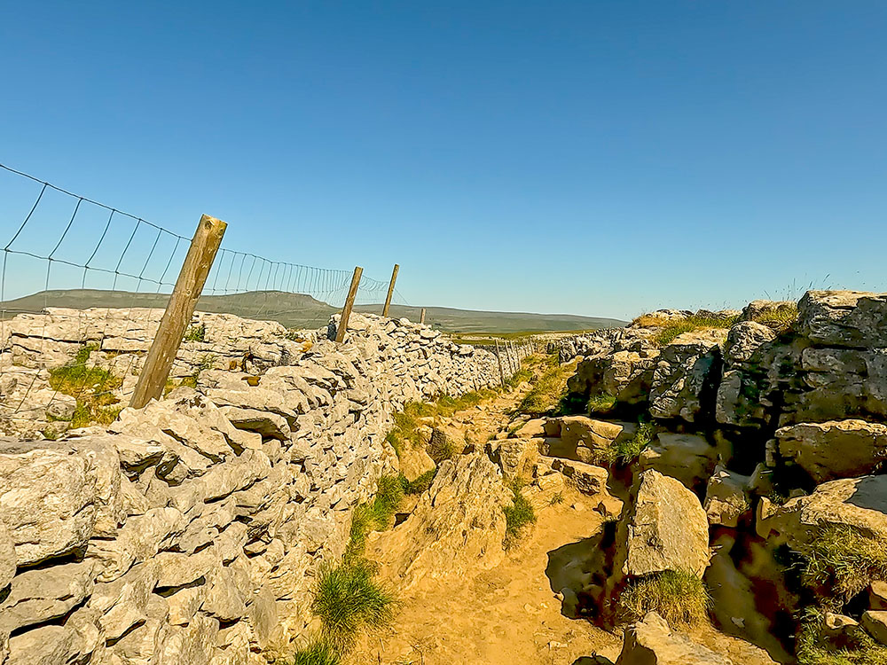 Passing through the limestone pavement at Sulber on Ingleborough's southern slopes