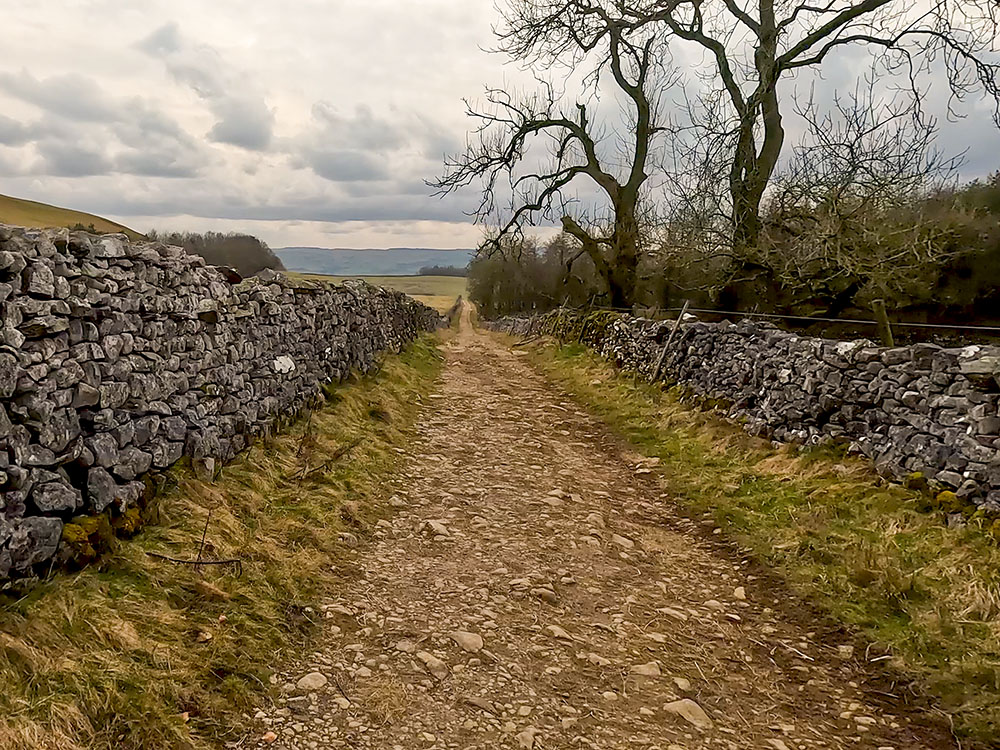 Long Lane