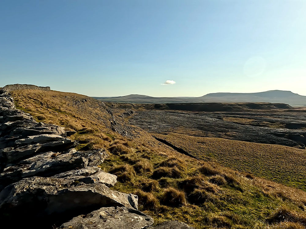 Thieves Moss and limestone pavement at Moughton Scars