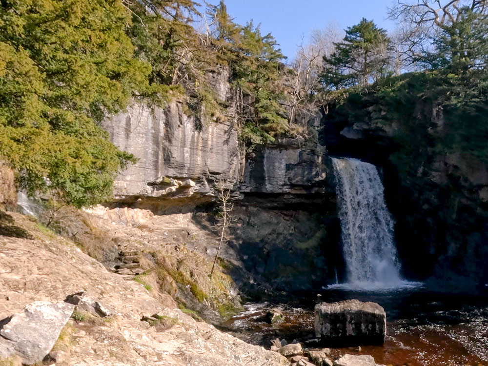 Thornton Force