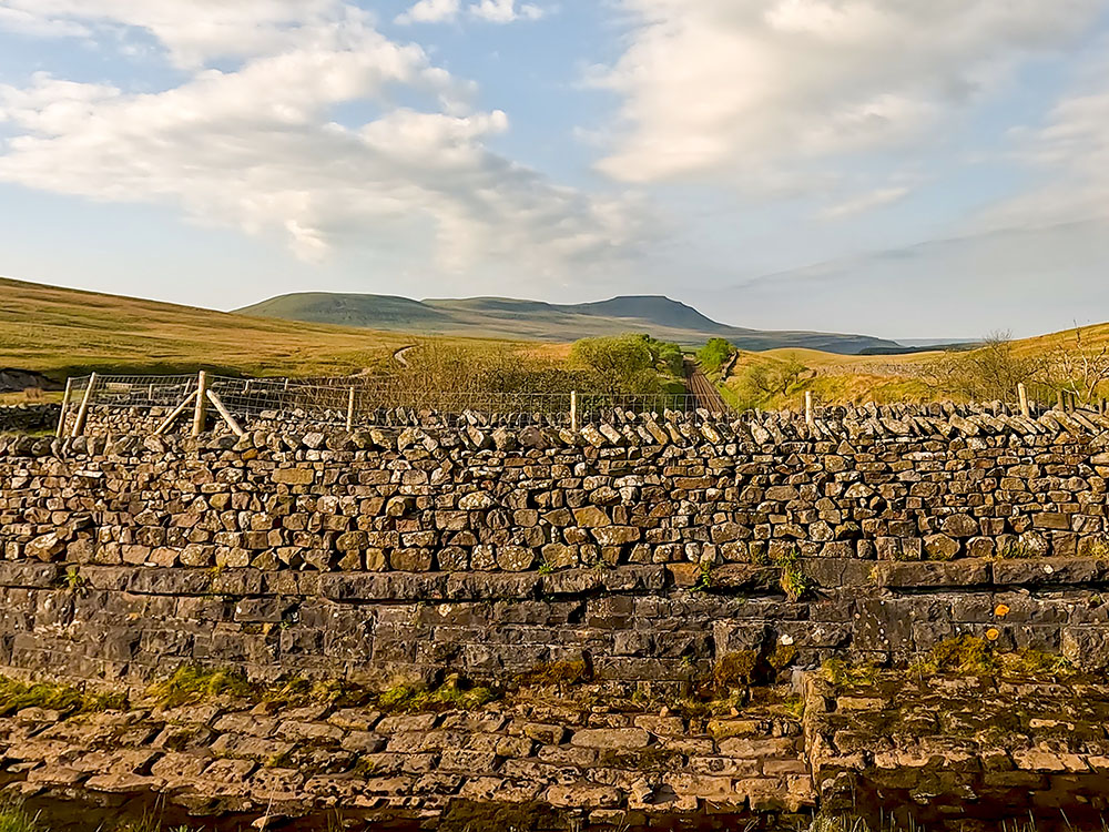 View looking back towards Ingleborough from the Whernside path