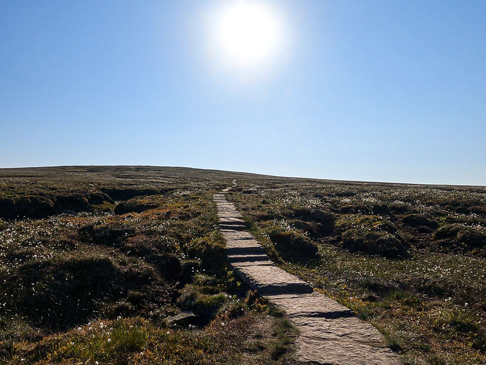 Flagged path heading to the summit of Pendle Hill