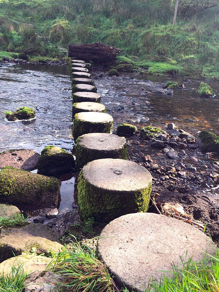 Stepping stones in Roughlee