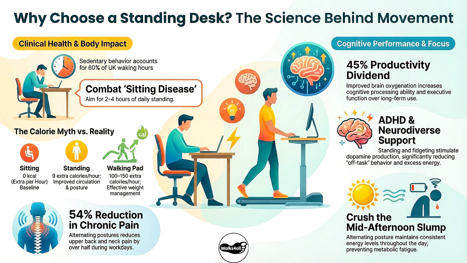 An infographic explaining the health and cognitive benefits of standing desks, including calorie burn comparisons, chronic pain reduction, and productivity boosts for neurodiverse users.