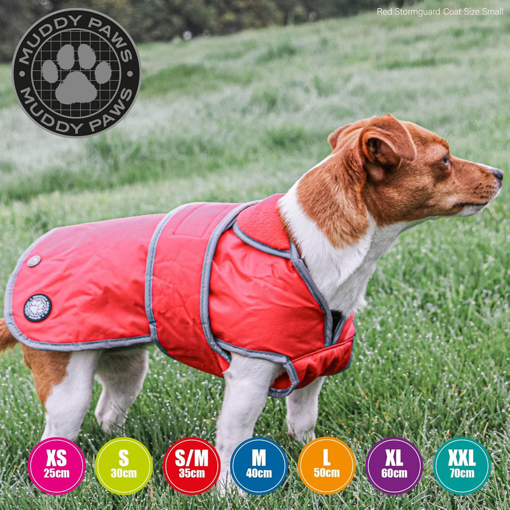 Ancol Stormguard Dog Coat on a small dog