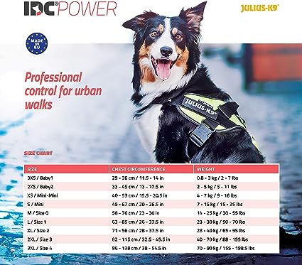 Julius-K9 - Powerharness, dog harness