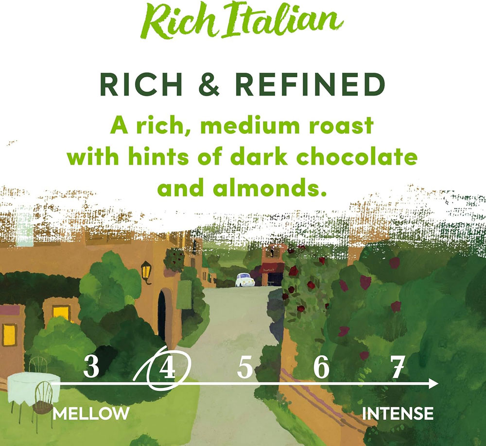 Taylors of Harrogate Rich Italian Coffee Bags - intensity