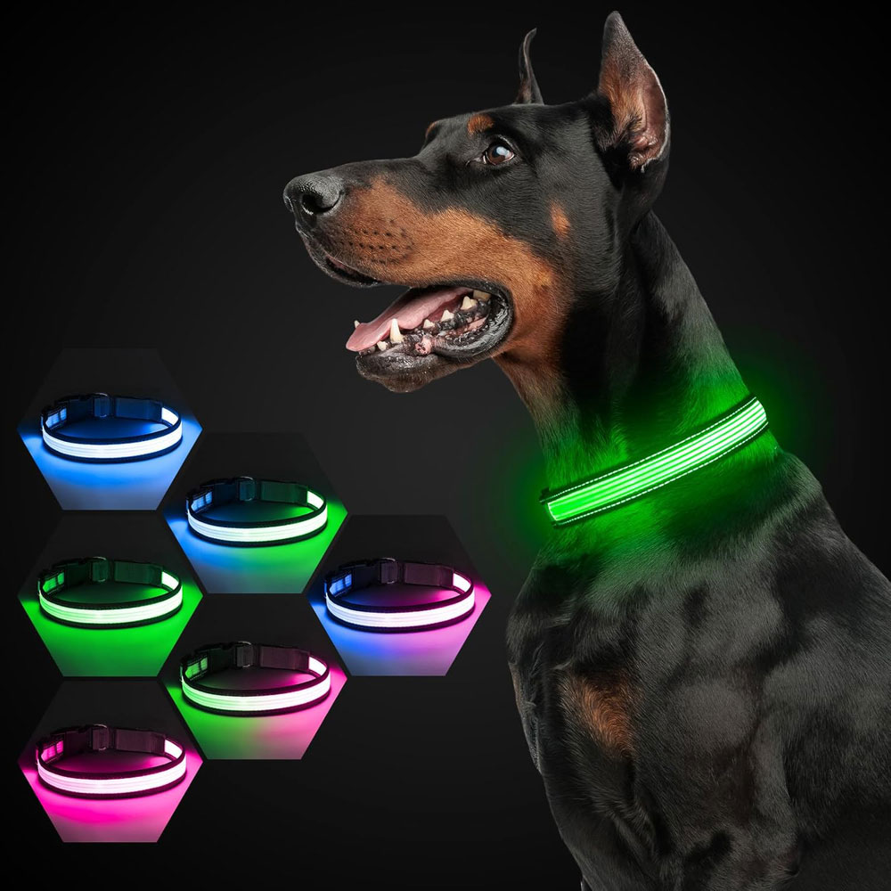 YFbrite Multi-Colour Rechargeable LED Dog Collar