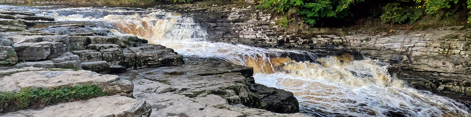 Stainforth Force