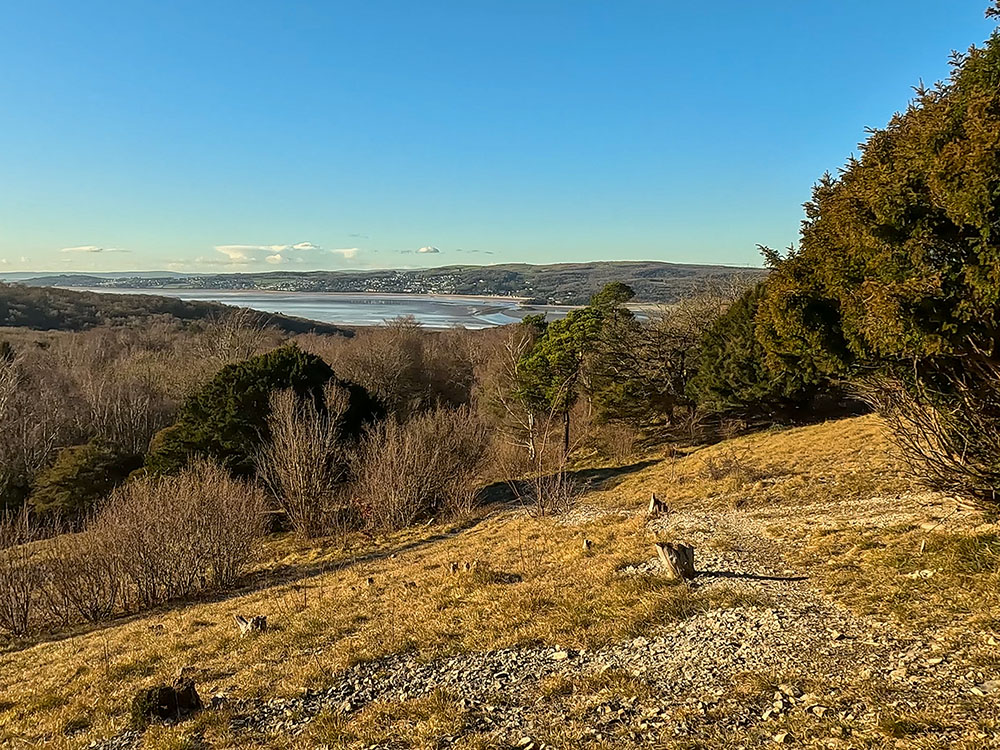 View across to Grange-Over-Sands from Arnside Knott