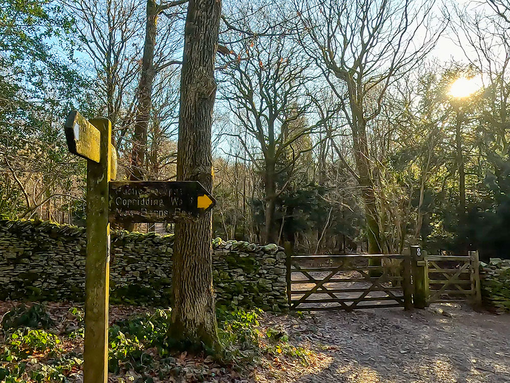 At the footpath sign, continue straight on following the purple signs