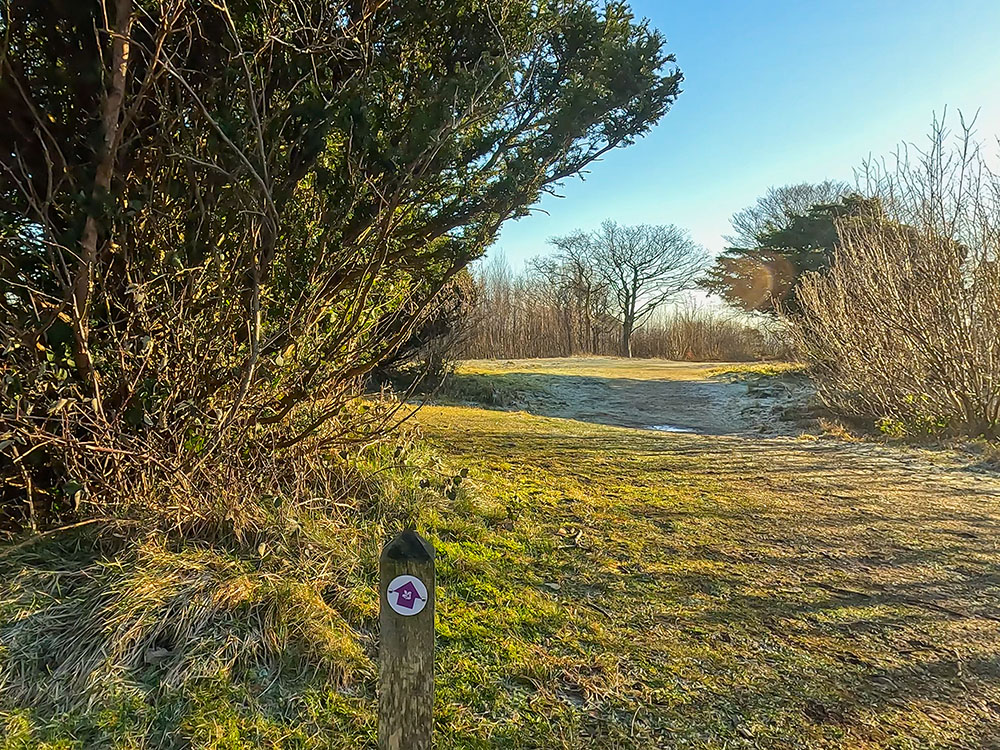 Continue to follow the purple wooden waymarker through Arnside Knott Wood
