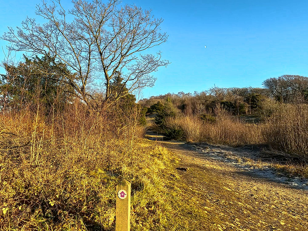 Head on up the wide gravelled path following the purple waymarker