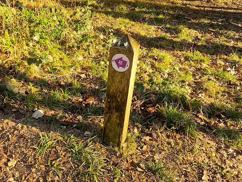 One of the purple National Trust waymarkers that mark the path around Arnside Knott