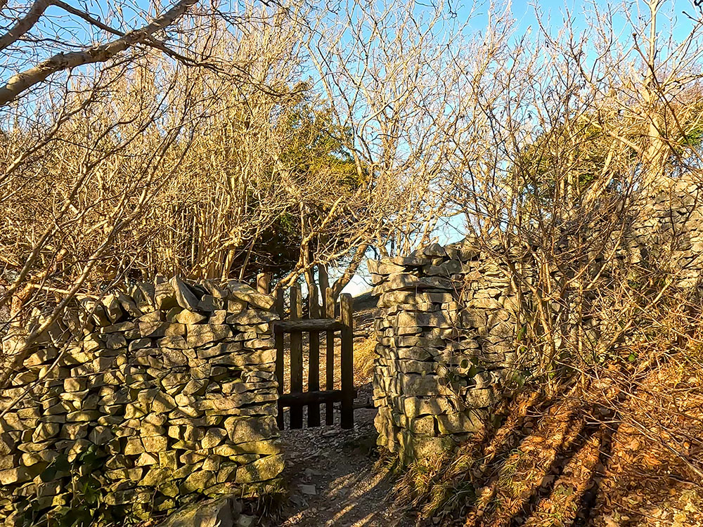 Pass through the gate in the wall