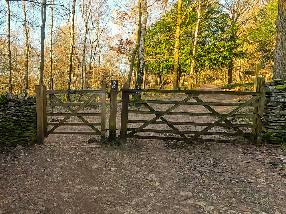 Pass through the wooden gate following the purple National Trust arrow