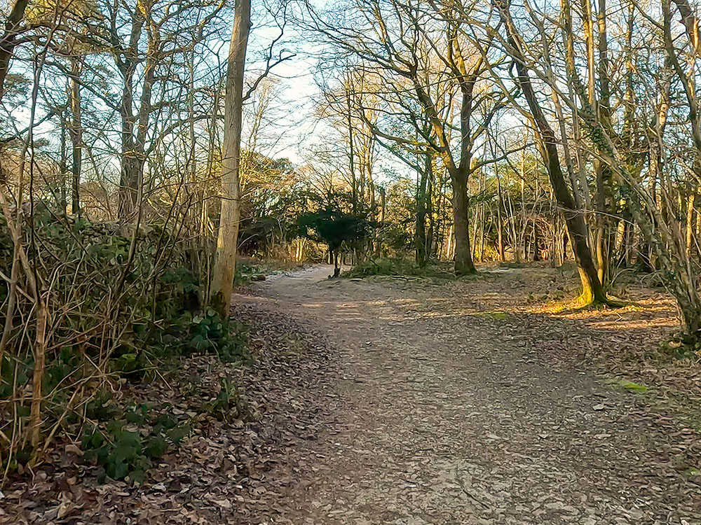 The path heads along the right-hand side of the wall through the woods