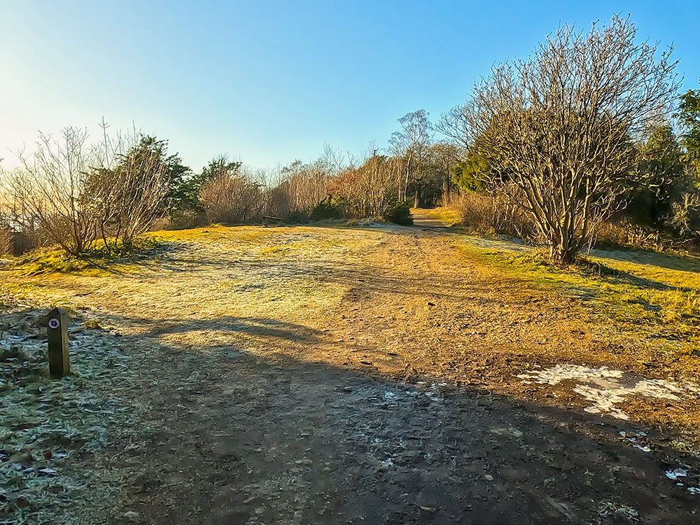 The path heads on through Arnside Knott Wood