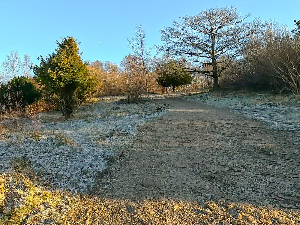 The path heading on up through Arnside Knott Wood