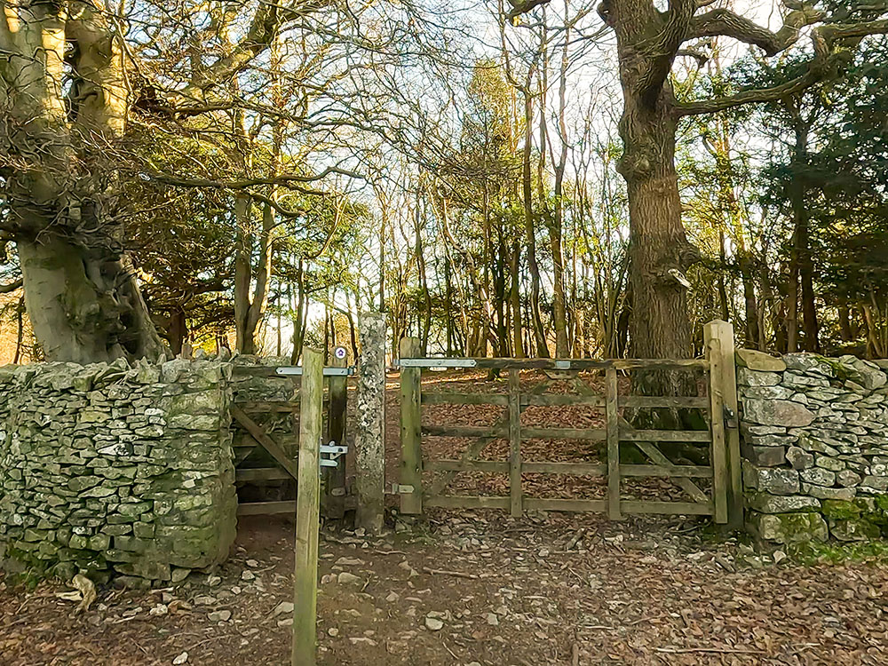 The path follows the purple waymarker through the gate in the wall on Arnside Knott