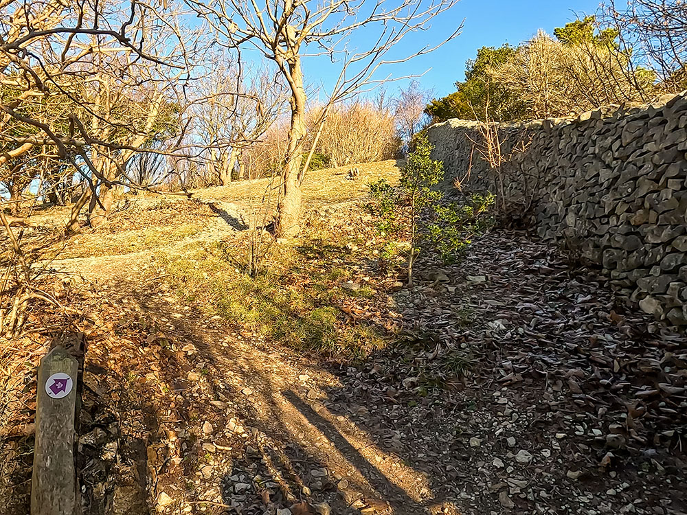 The path up towards the toposcope on Arnside Knott just through the gate