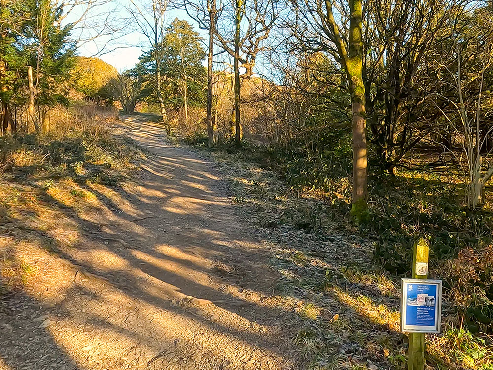 The path up through Arnside Knott Wood