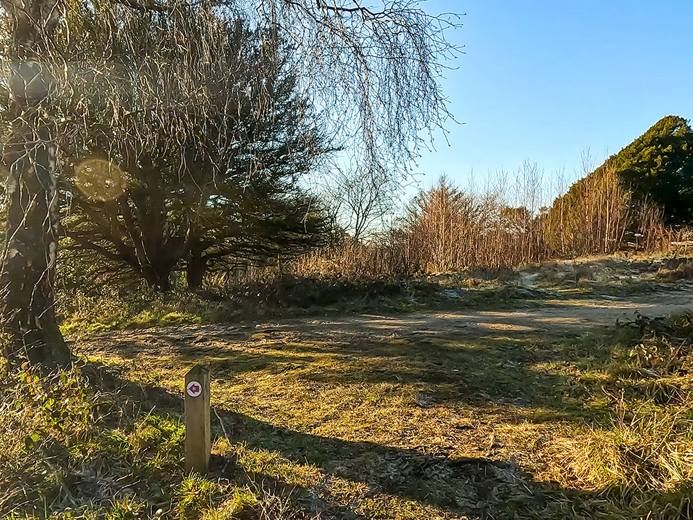 On meeting the main path, turn left to head downhill through Arnside Knott Wood