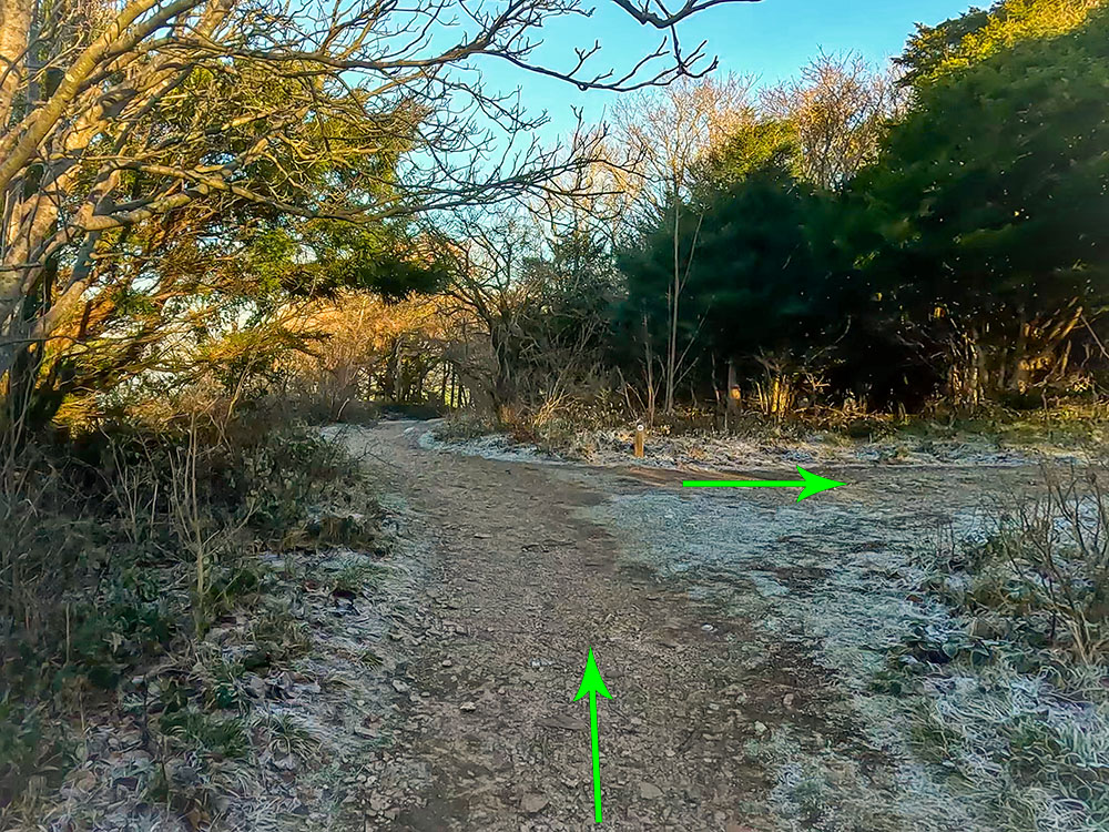 Turn right off the path along another path following the purple waymarker