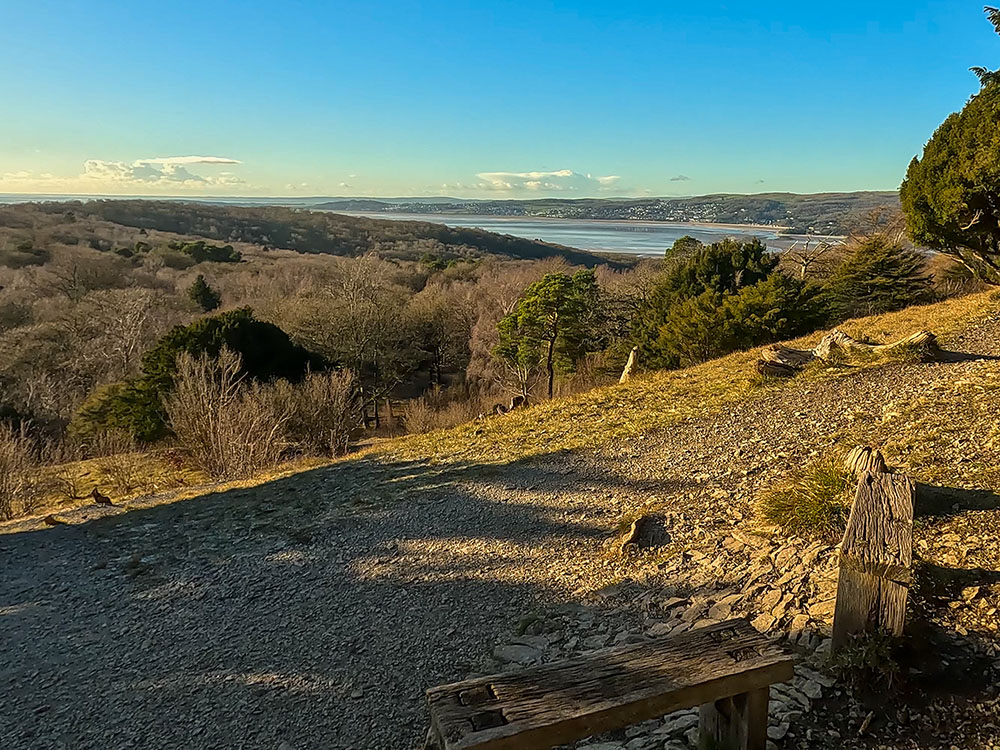 View across to Grange-Over-Sands from the two benches on Arnside Knott