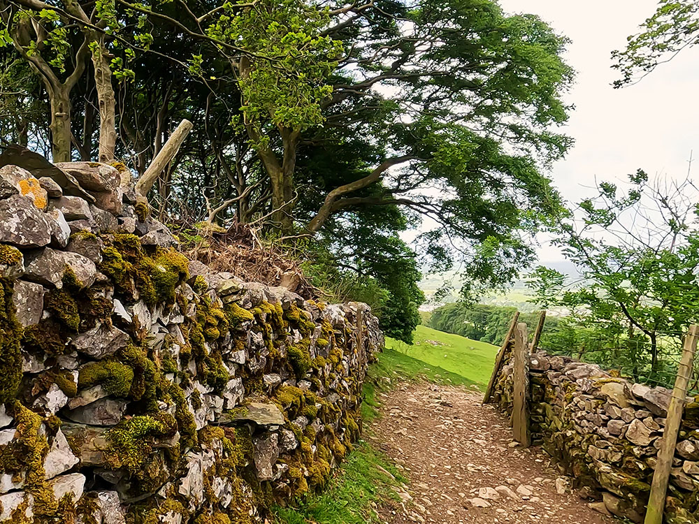 Passing through the gap in the walls