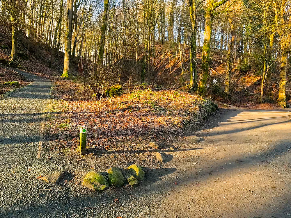 Where the path splits, we follow the green areas along the main path