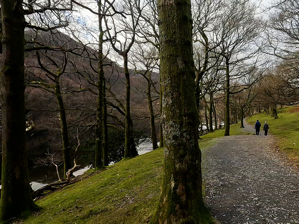 Buttermere lakeside path on eastern shoreline