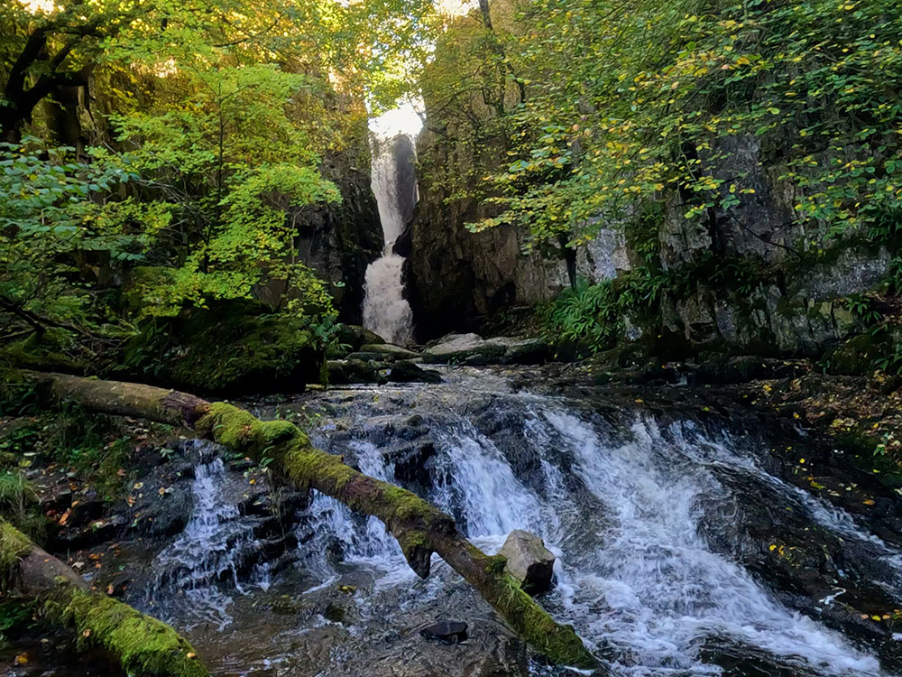 Catrigg Force