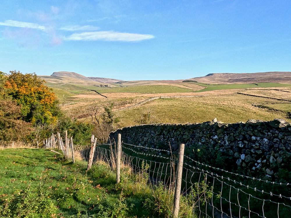 Pen-y-ghent and Fountains Fell from the walled lane