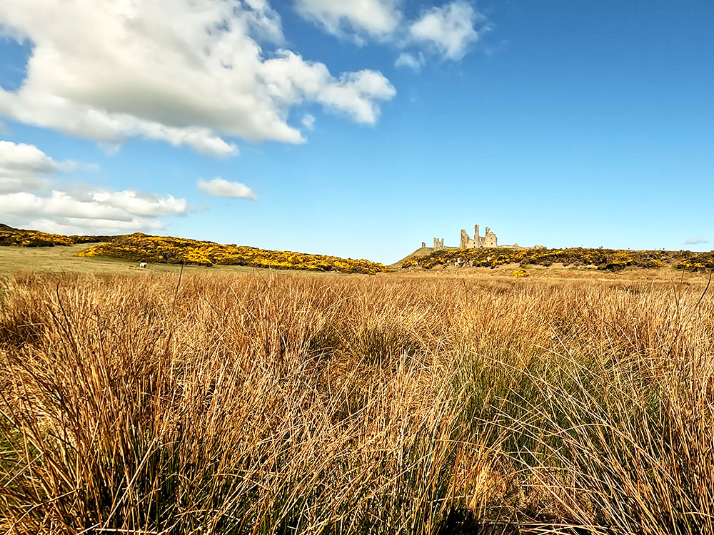 Looking back up at Dunstanburgh Castle