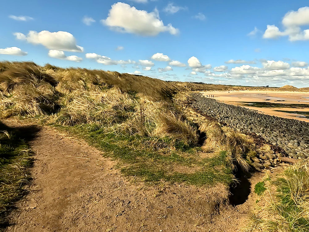 Path splits - we take left-hand fork rather than dropping onto the beach