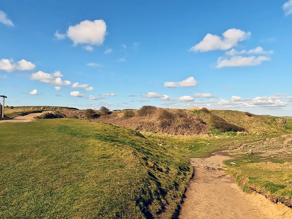 Where we leave the Northumberland Coast Path, taking the right-hand path nearer the sea shore