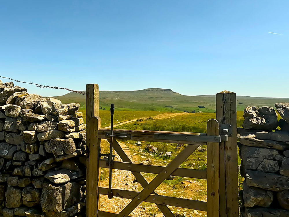 Looking back through the gate towards Pen-y-ghent