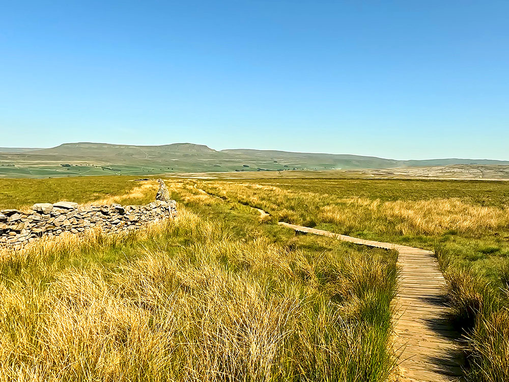 The path as it heads over the wooden walkway