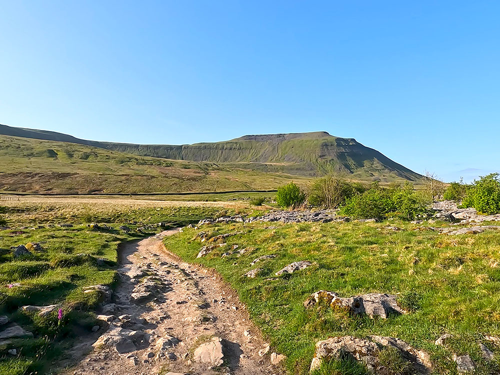 Ingleborough walk from Chapel le Dale (shortest route)