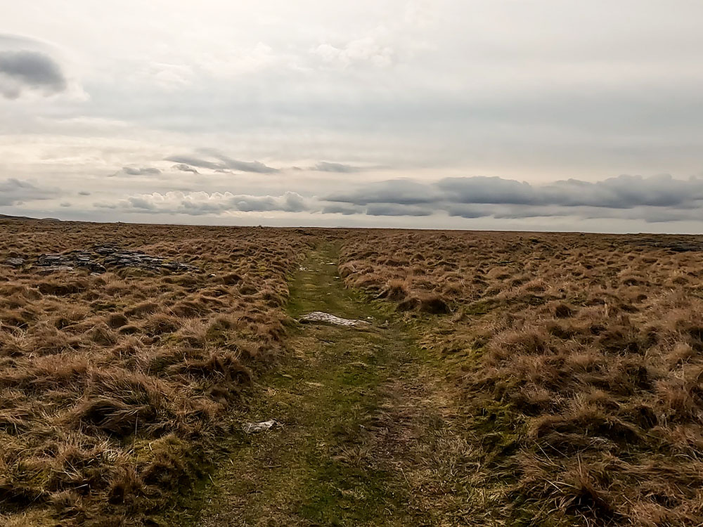 Grassy path