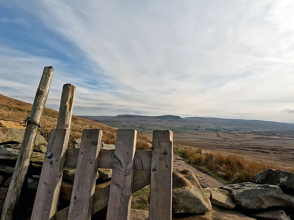 Pen-y-ghent over the gate on Simon Fell Breast
