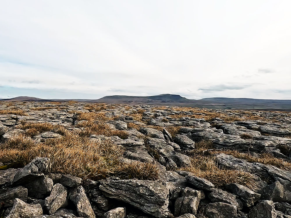 Pen-y-ghent over the limestone