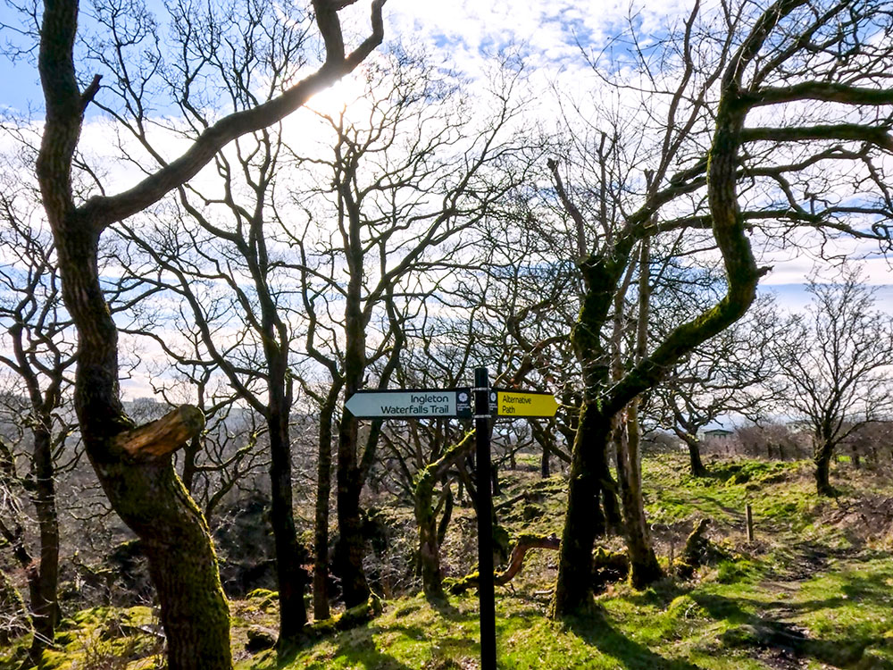 If the paths are flooded, there is an alternative path signed, that misses out Beezley Falls and Baxenghyll Gorge and rejoins the walk at Snow Falls