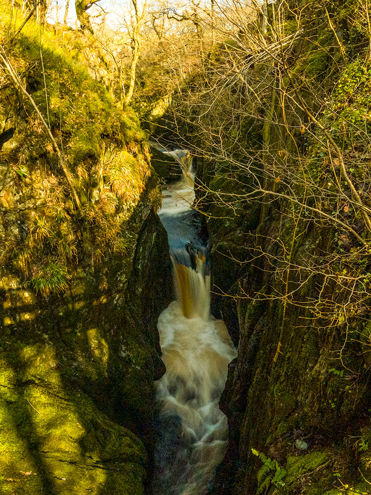 Baxenghyll Gorge on the Ingleton Waterfalls Trail